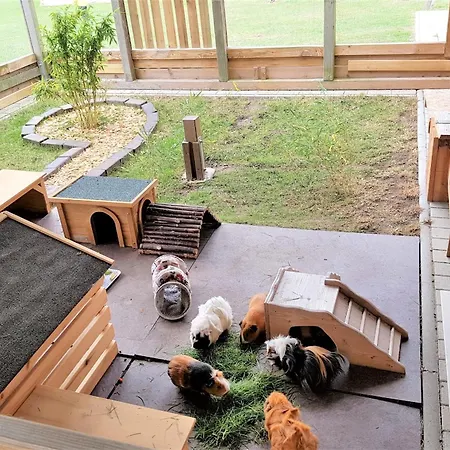 Apartamento Gutshaus O2 Fehmarn